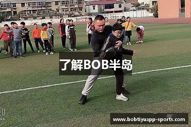 了解BOB半岛